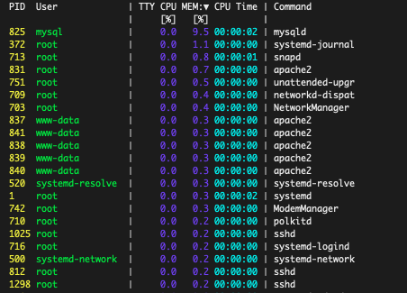 processes sorted by memory use